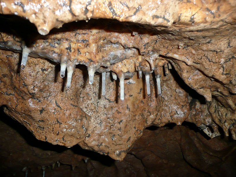 P1060769.JPG - Hohe Wand - Jaskyňa Einhornhöhle