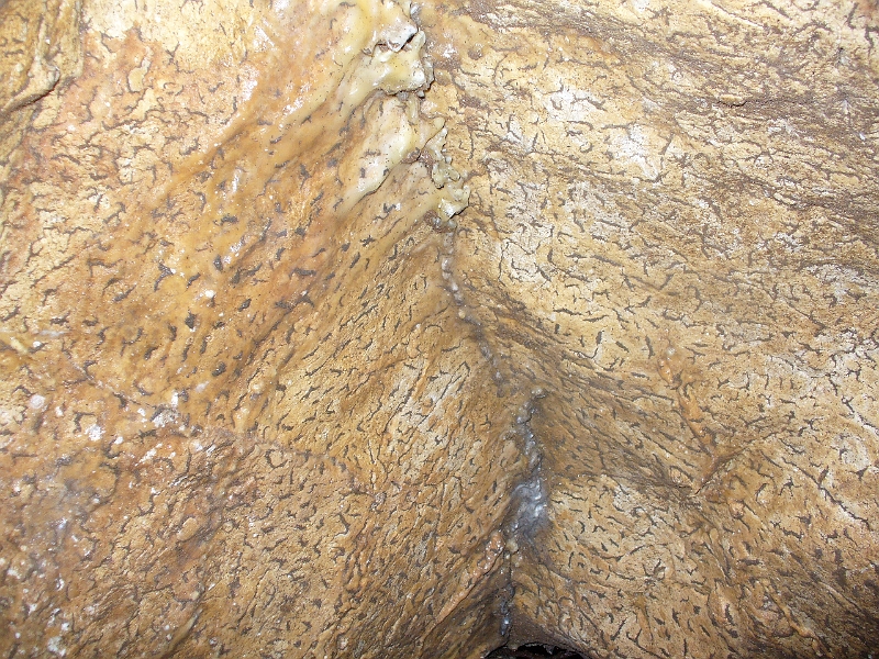 P1120597.JPG - Hohe Wand - Jaskyňa Einhornhöhle