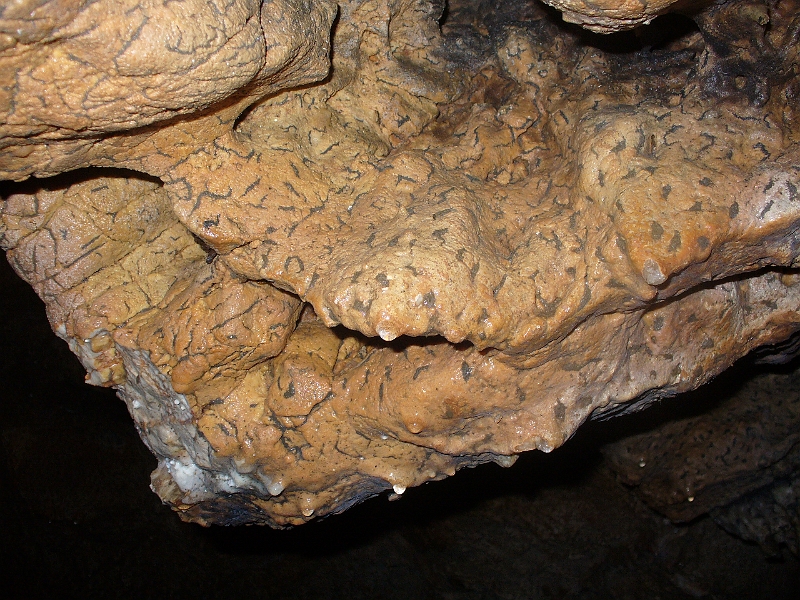 P1120598.JPG - Hohe Wand - Jaskyňa Einhornhöhle