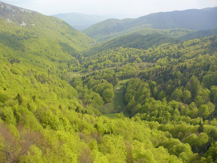 P1100054.JPG - Výhľad z Medvedej skaly na dolinu Strážovského potoka