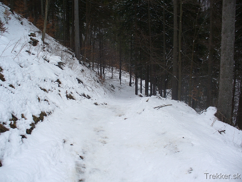 P1130982.JPG - Chodník je schodný i bez snežníc